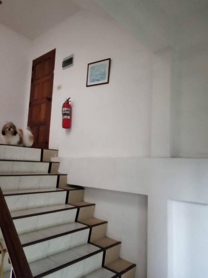 Ban Elephant Blanc Apartment Kata Plajı Dış mekan fotoğraf